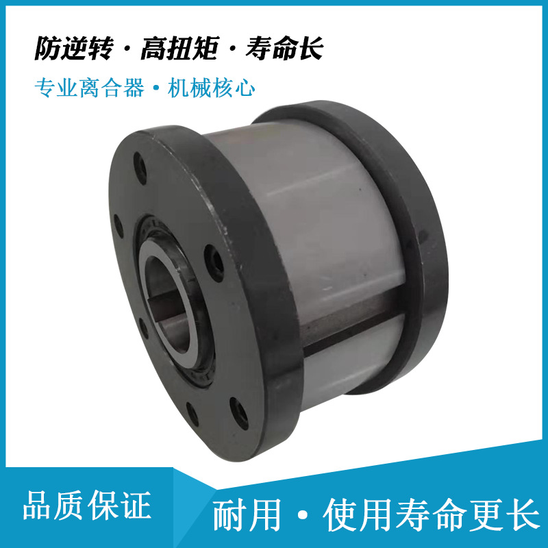 星轮滚柱式单向离合器 GFN55F5F6 分度离合器用于治金机械