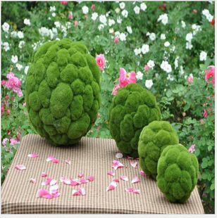 ֲë�A������ ֲ�q���� ������ֲ̦ë�������Aʯ�^����̦�\��