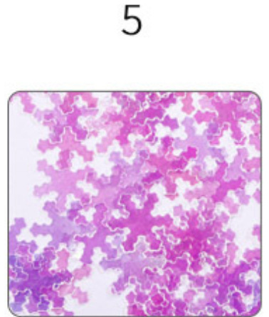 Concubina arte de uñas copo de nieve lentejuelas 12 colores Navidad copo de nieve lentejuelas traje manicura arte de uñas Navidad copo de nieve