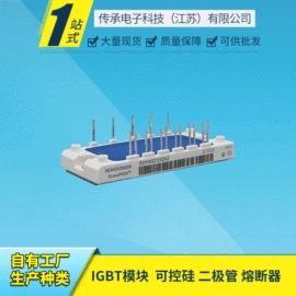 IGBT模块;普通晶闸管