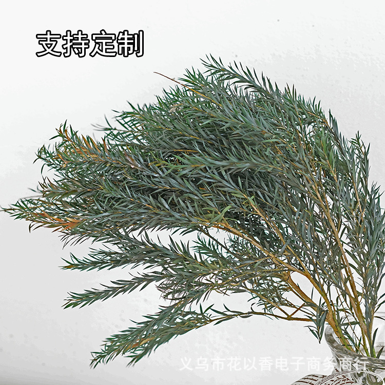 【永生花千层金】天然干花真花花环厥叶材diy材料包配草家居插花