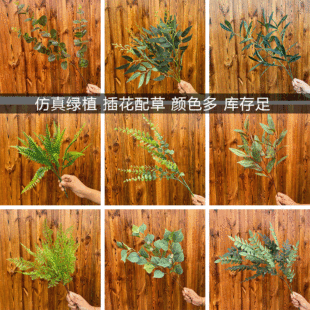 ���滨�ľGɫ�~���b�c�����b�Y���~�ٻ���з���Gֲ���l