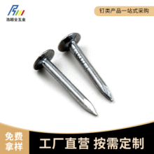 批发电镀油毡钉 不锈钢油毡钉 油毡瓦水泥钉 玻纤瓦不锈钢钉