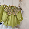 Spring dress, children's green fruit oil, small princess costume, girl's skirt, long sleeve, floral print