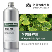 银杏叶纯露1kg花水 手工皂化妆水定妆水湿敷水膜原料补水