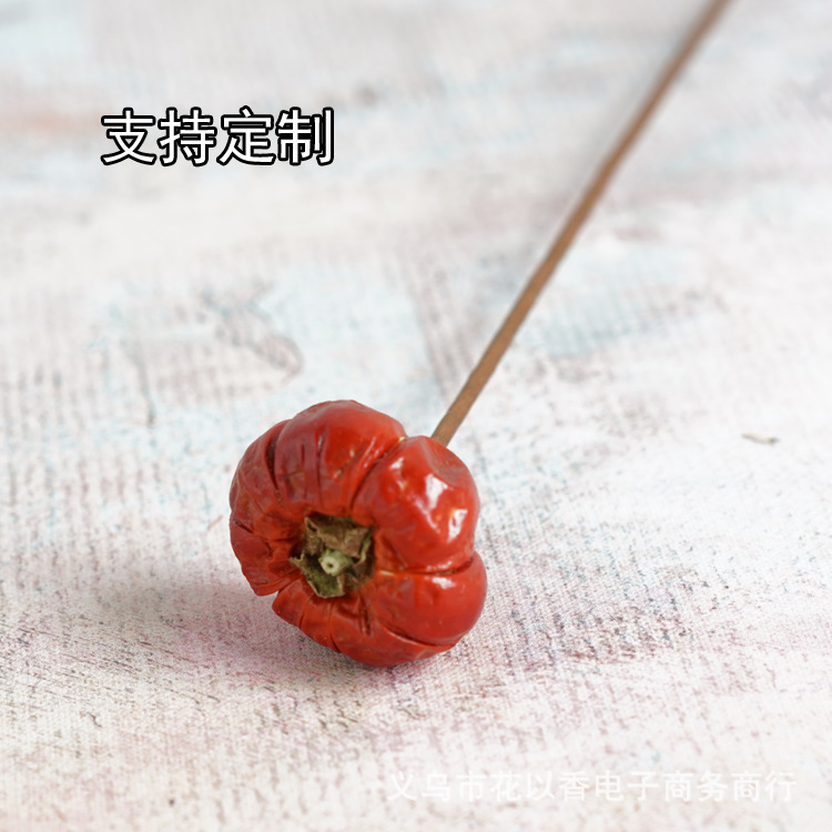 ブラジルの小さなカボチャの植物のドライフルーツのサンプルプレートの間のアパートの生け花の家のリビングルームの装飾のクリスマスの祝日の装い|undefined
