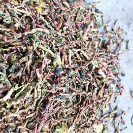 茶叶梗山蜜草绿梗散装批发茶枝角夜市地摊货源乌龙茶梗铁观音茶梗