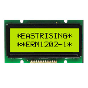 LCD1202/12*2 Monochrome Character Type LCD LCD Display Module / Module / Yellow and Green on Blue and Black Words
