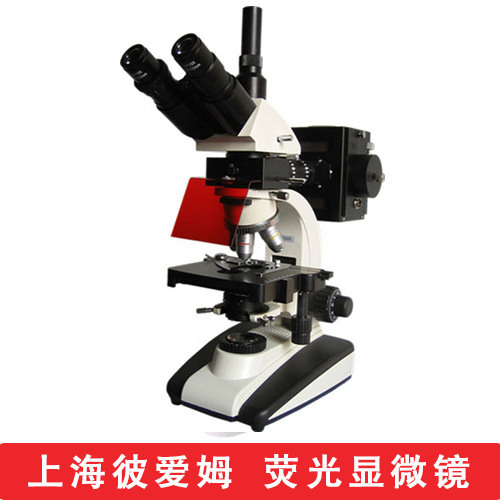 BM 20APY����UISӫ����΢��  �˰�ķ ����ӫ����΢��  BM 20AY