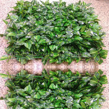 ƺ~ӾGֲƤ40*60cmƬС^Gݸ߷l