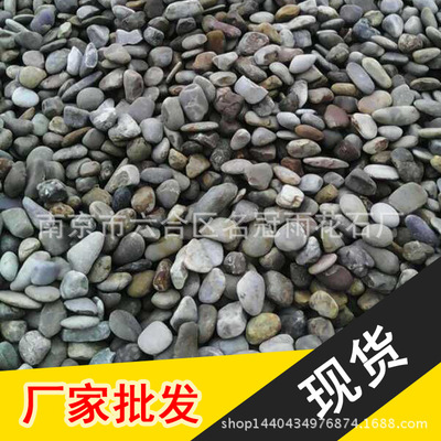 鵝卵石混色五彩石園林景觀水池墊底天然南京雨花石鋪路天台陽台