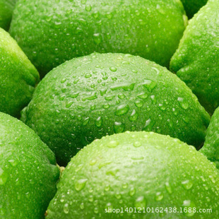 �����ʝ�s֭ø�������ʝ�sԭ�{  ���u�S�ҿ��Ø�������s֭