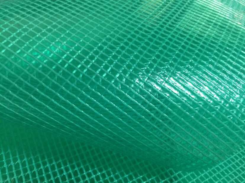免费拿样厂家直销透明夹网PVC塑胶网格布