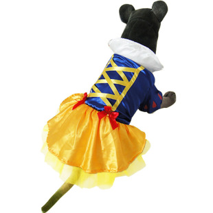 ���Q���N�����f�}�������·� ��ѩ�����}�Q����ȹ�Ӵ���Ȯ���b