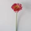 Light rose red