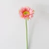 Peach pink