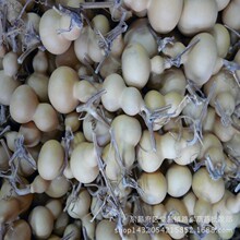 �a��ֱ�N���l����� �֔f���� С�����J�r�񃞻�