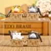 Looking for a pet cat cordless dust plug
