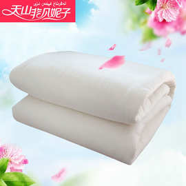 一件代发新疆棉被纯棉花被芯棉絮床垫被褥子加厚保暖春秋冬被