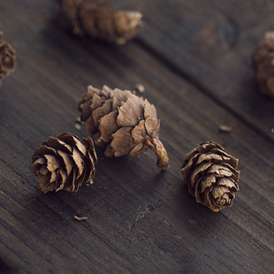 ������~�ɼtɼ��� �ɻ�diy���ϰ����Ĕ[���羳���������ɻ����l