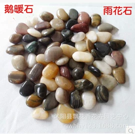 盆栽;月季蔷薇植物;乔木