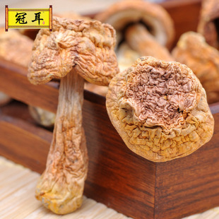 �ڶ� ɢ�b���l ����خa���r�����׸�؛ ����Ģ�� �Ҝ���Ʒ һ��