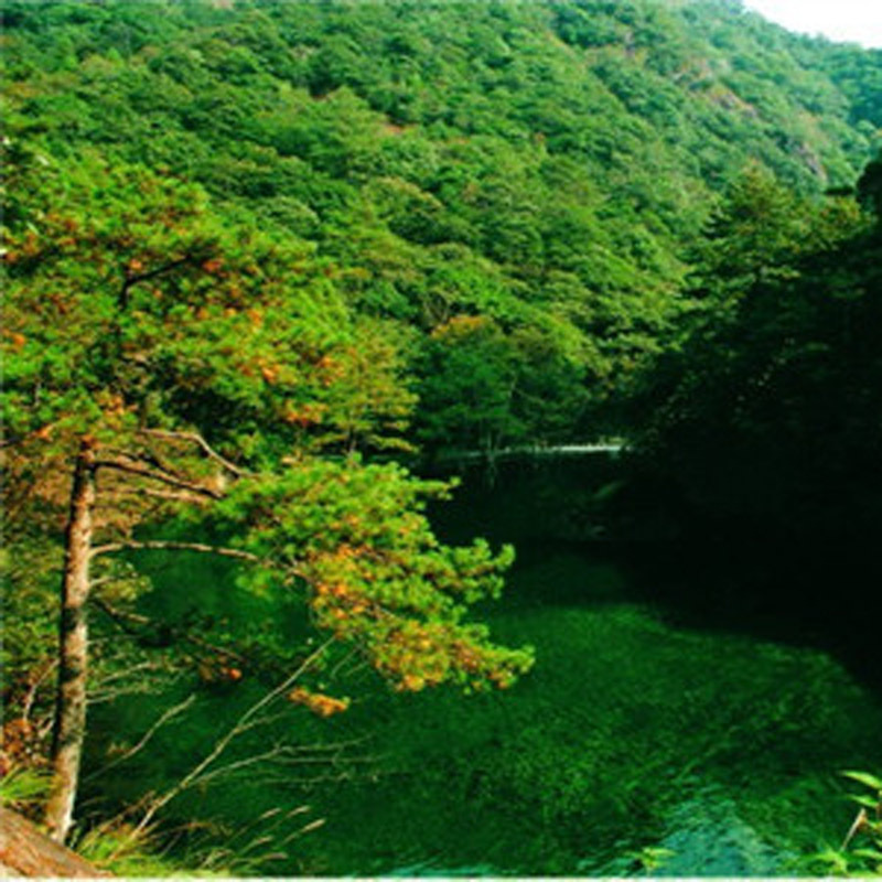 厂家供应 免费取样 光感变色微胶囊 功能性助剂