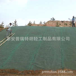厂家直销供应三维土工网垫 绿化喷播草籽专用三维植被网