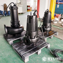 ˮ۱ùԭWQ15kwƄʽoˮ ˮ̎S