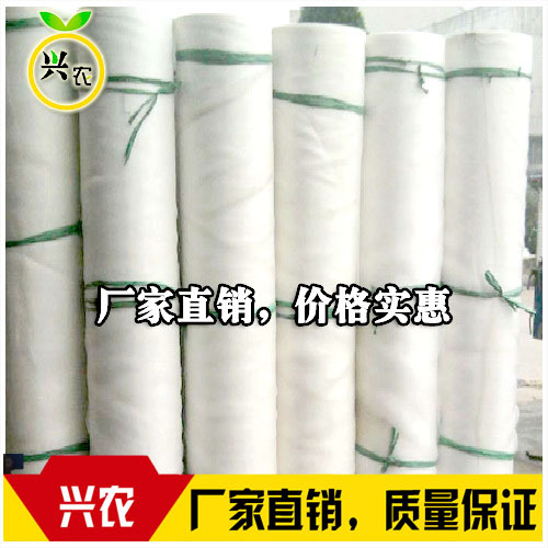 全新料60目防虫网 马铃薯脱毒防虫网 60目密度高防虫效果更好