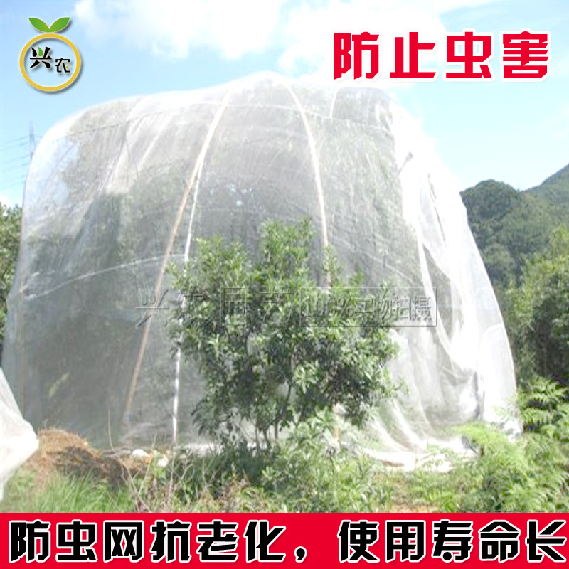 60目大棚网罩/防虫网罩/蔬菜瓜果烟草种植网/养殖网