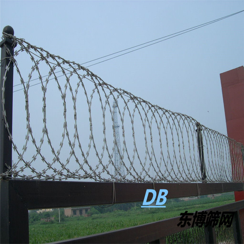 优质：广东热镀锌刀片刺绳 刀片刺线304不锈钢刀片刺绳 运费另计