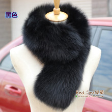 2021�����¿�Ƥ�݇��� ����ëŮʿ������Ƥ�݇��� �������l