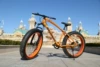 Orange leopard
