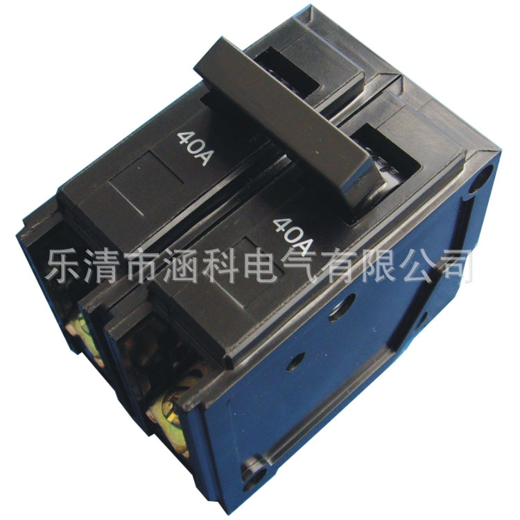 厂家供应 BH-P出口小型微型断路器 设备保护断路器开关 100A 2P