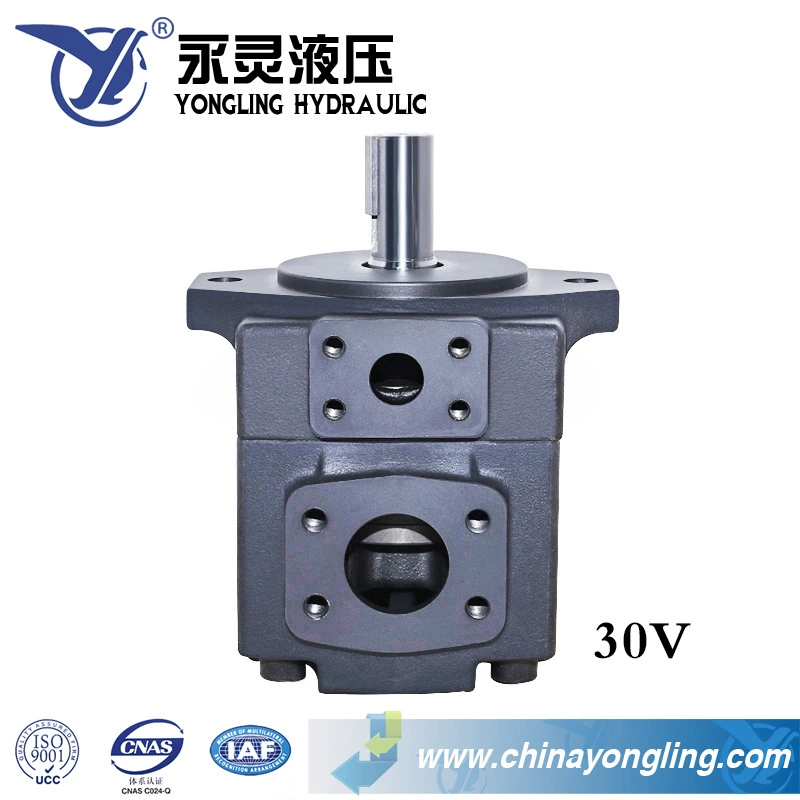 Гидравлический насос YLC/Yongling YB-E Лопастной насос высокого давления серии Pump-YB-E80/E100/E125