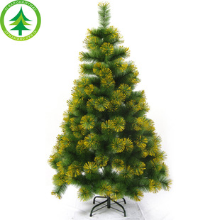 PET�����}�Q�� �F�_����մ�׽���y���}�Q���Ƶ��̈����в���