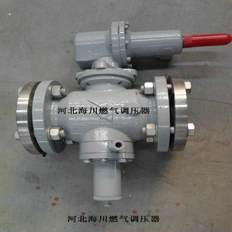 佛山RTZ-*/GQ型窑炉稳压阀煤气减压阀河北厂家燃气减压阀调压箱