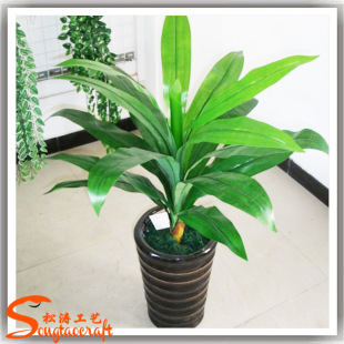 �V���ɝ���������F���� �������ֲ������F�� �@�־��^�G������