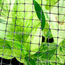 厂家优惠直销供应果园用防鸟网、塑料双向牵伸网
