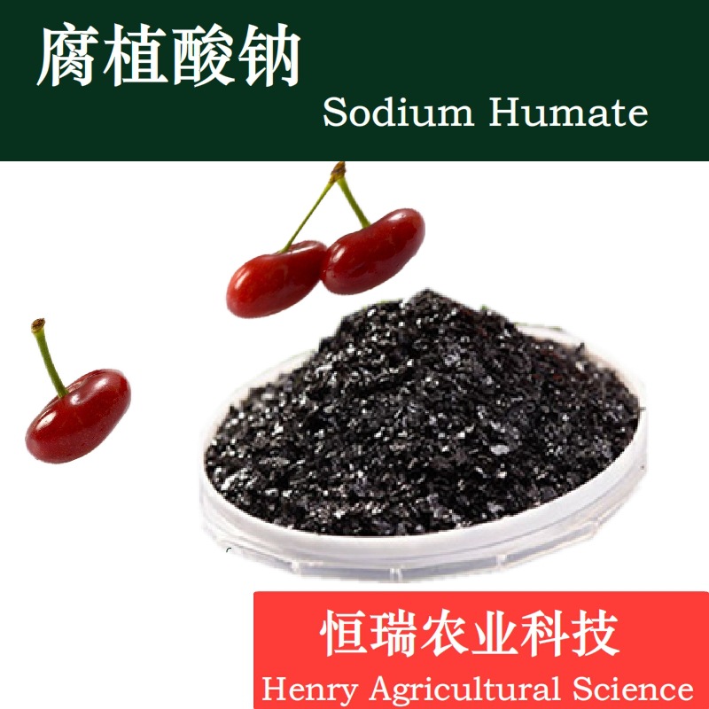 65%片状腐植酸钠（乌海腐植酸钠）高含量固体速溶水溶