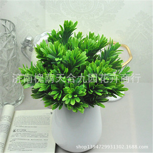 Pβ 滨 ٻ컨l ֲ ֲ廨