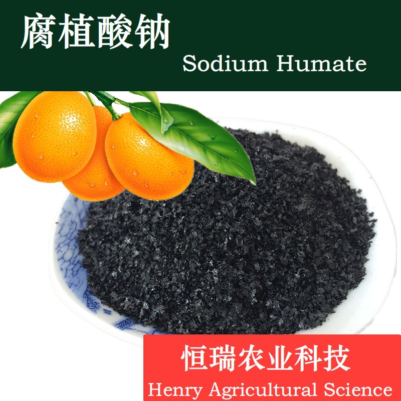乌黑发亮颗粒精品腐植酸钠水产养殖饲料添加石油助剂型煤粘结水溶
