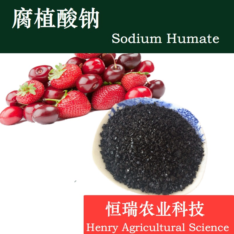 乌海优质颗粒状腐植酸钠高含量有机水溶性环保