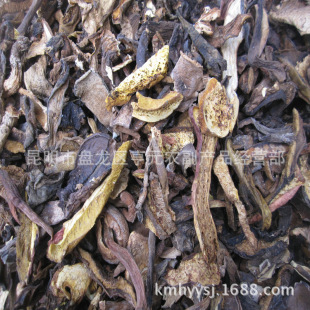 ���l��ţ�� ��ţ�ξ� ��ţ�ΰ������� ��偵ꡢ�Ƶꌣ��