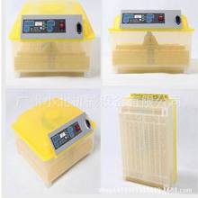 48枚全自动孵化机 孵化器 孵蛋机 孵化设备 微型孵化器 广州孵化