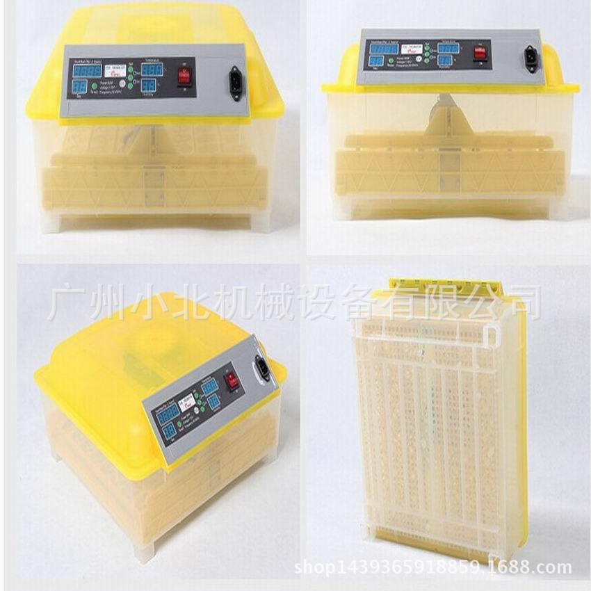 48枚全自动孵化机 孵化器 孵蛋机 孵化设备 微型孵化器 广州孵化