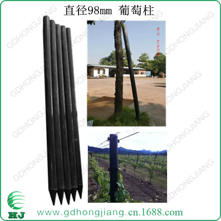 生蚝养殖 固定式网箱撑桩