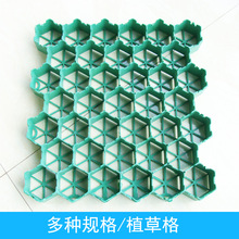 �S�ҹ��� ����ֲ�ݸ� ܇�����zֲ�ݰ� �G����ƺ�| �Nֲ܇λ���o�|