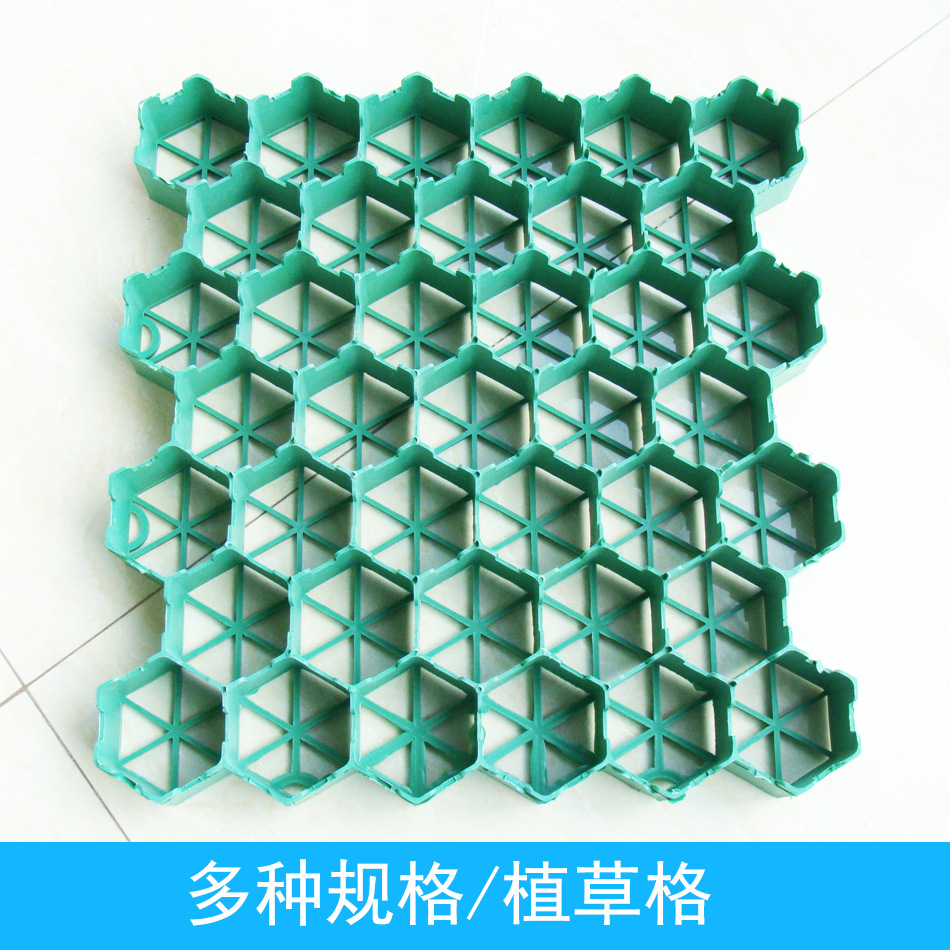 厂家供应 塑料植草格 车库塑胶植草板 绿化草坪垫 种植车位保护垫